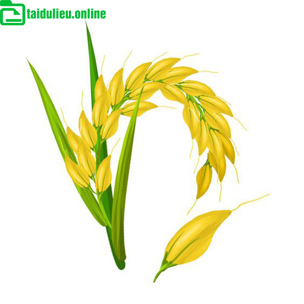 logo-hinh-bong-lua-vector